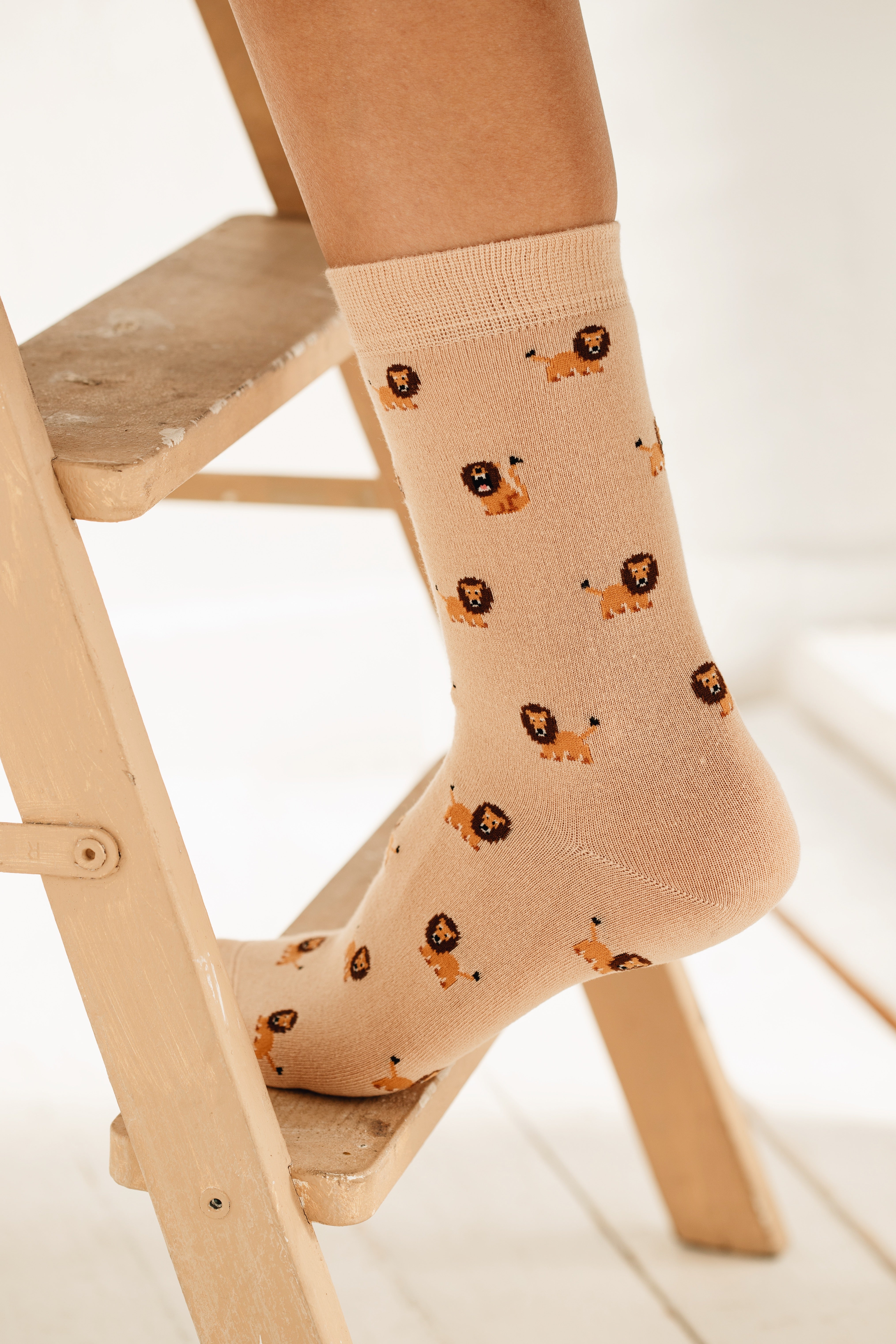 Mehrere Paar beige Socken der Marke FUNDAZE, ordentlich gestapelt und mit Etikett versehen. Die Socken zeigen ein flächendeckendes Muster aus kleinen, niedlichen Löwen-Illustrationen in Braun und Orange